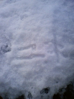 ユキって書ける雪